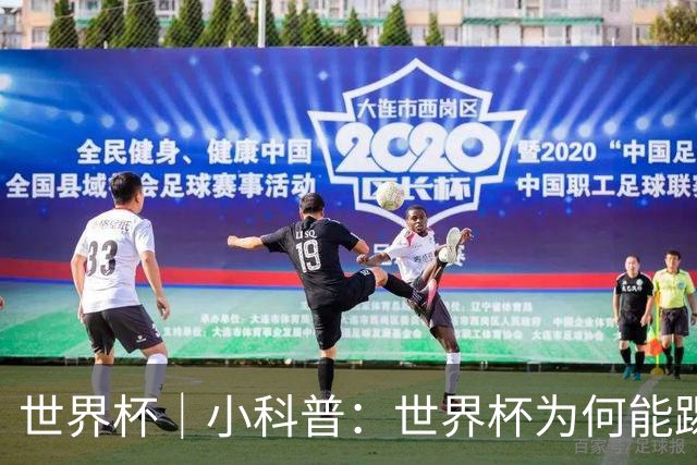 世界杯｜小科普：世界杯为何能踢出那么大的分差？