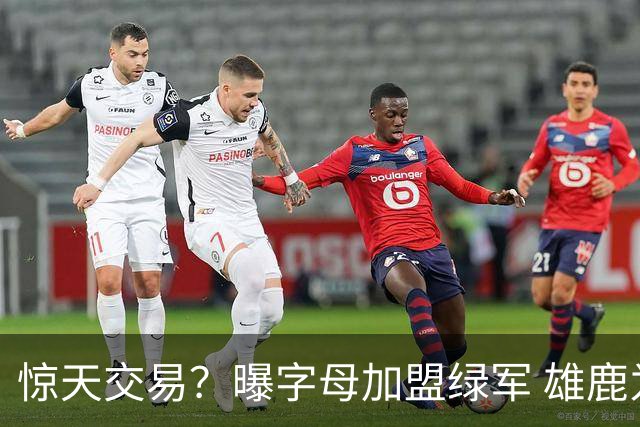 惊天交易？曝字母加盟绿军 雄鹿为布朗寻找第三方